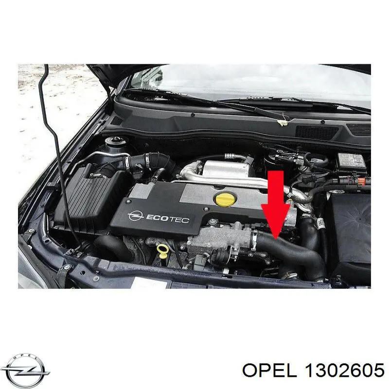 Купити 24451329 Opel Шланг/патрубок интеркуллера