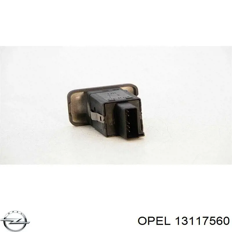 13117560 Opel 