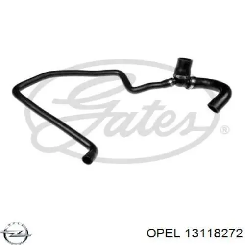 13118272 Opel шланг/патрубок радіатора охолодження, нижній