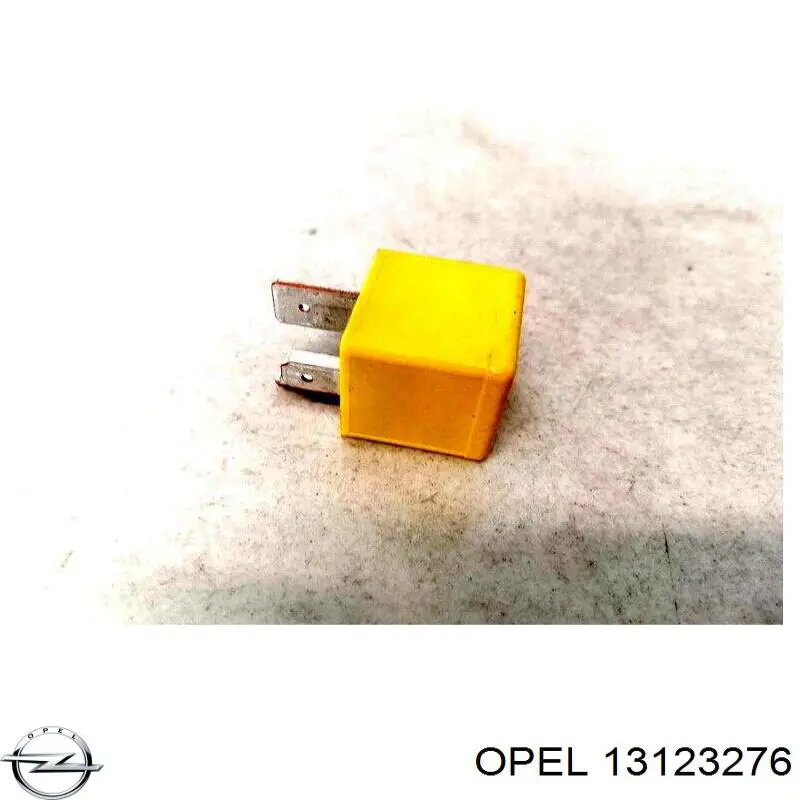  Opel 13123276