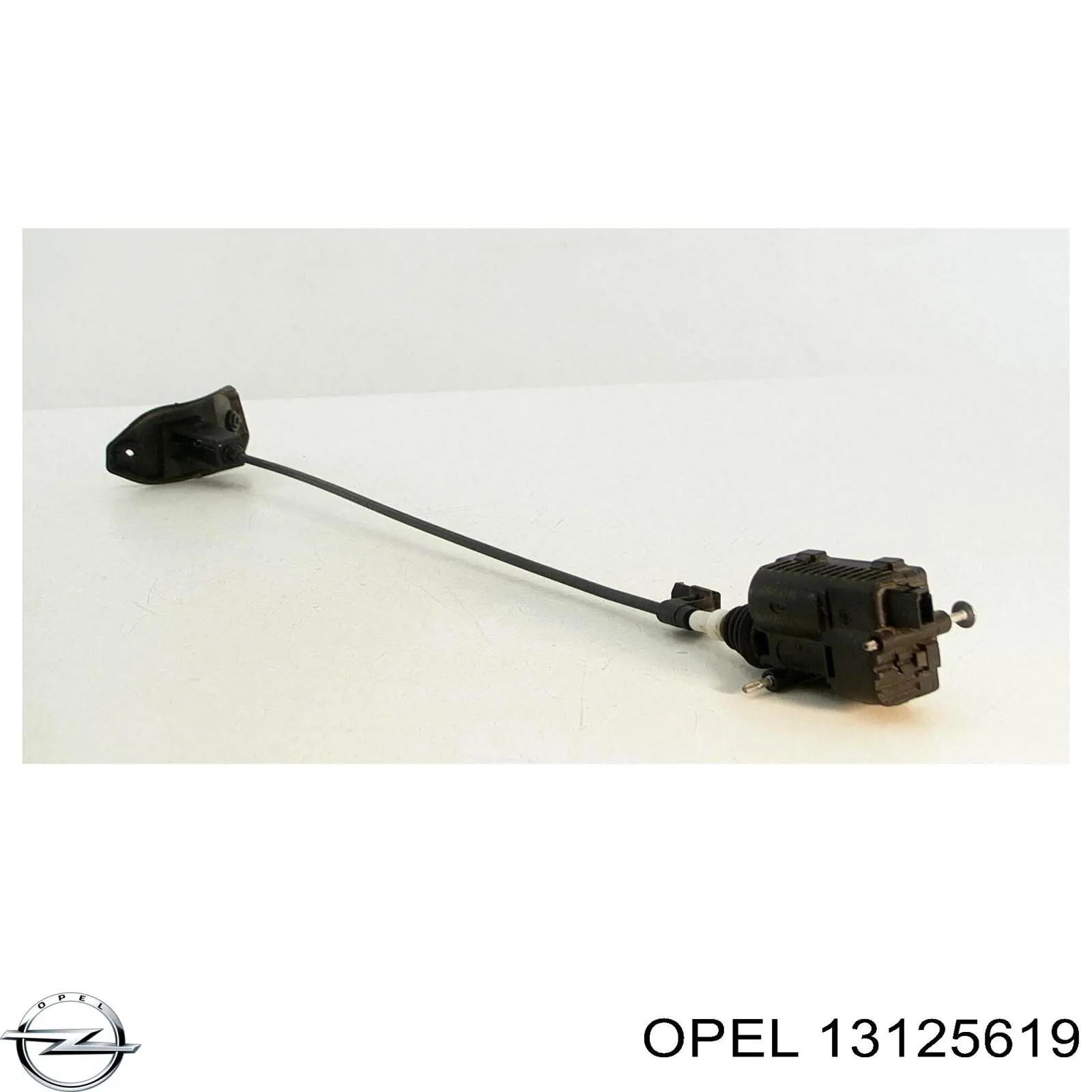  13125619 Opel