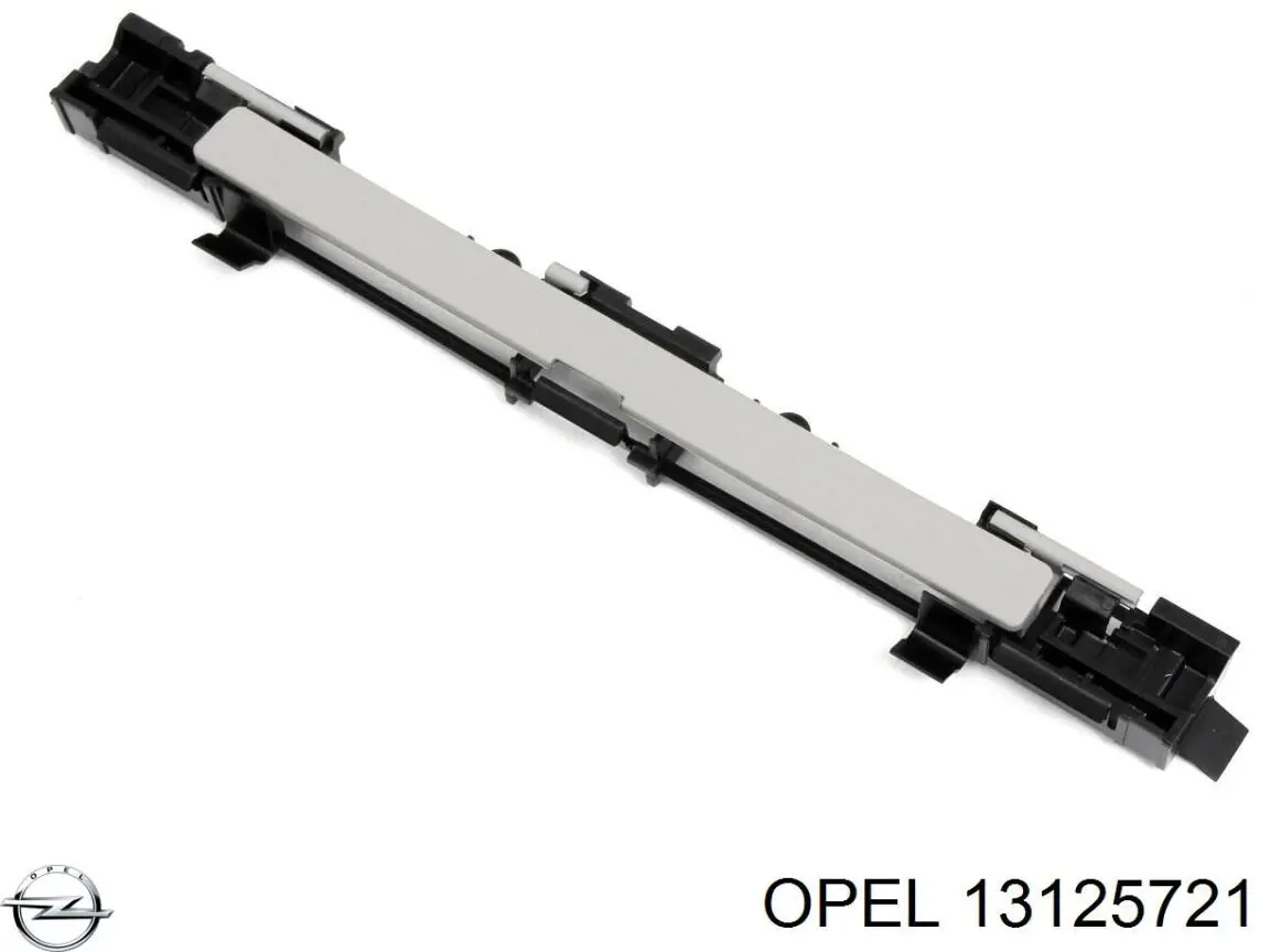 13125721 Opel Заглушка рейки/рейлинга багажника даху, передня