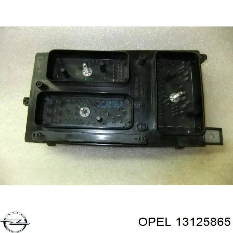 13125865 Opel 