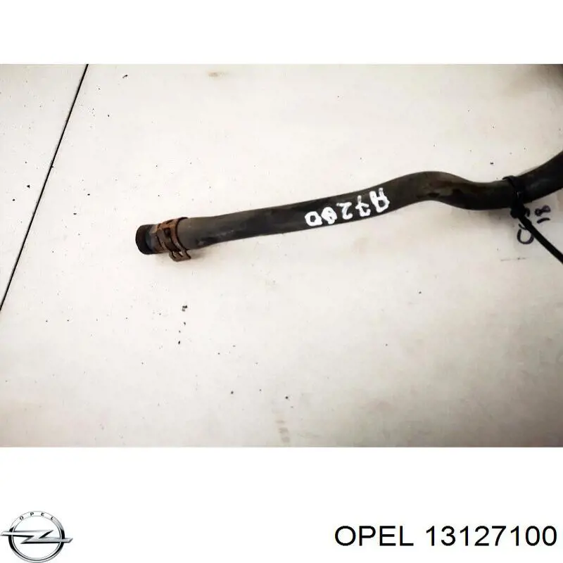  13127100 Opel