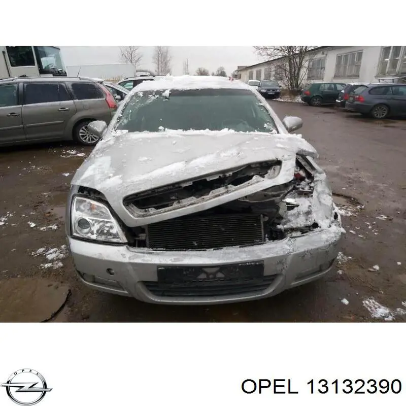 Купити 13132390 General Motors 