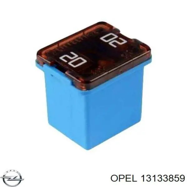 13133859 General Motors 