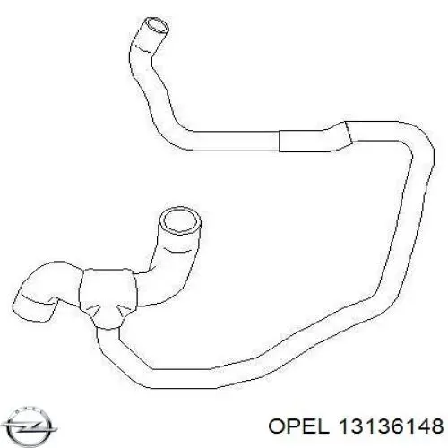 13136148 Opel Шланг/патрубок радіатора охолодження, нижній