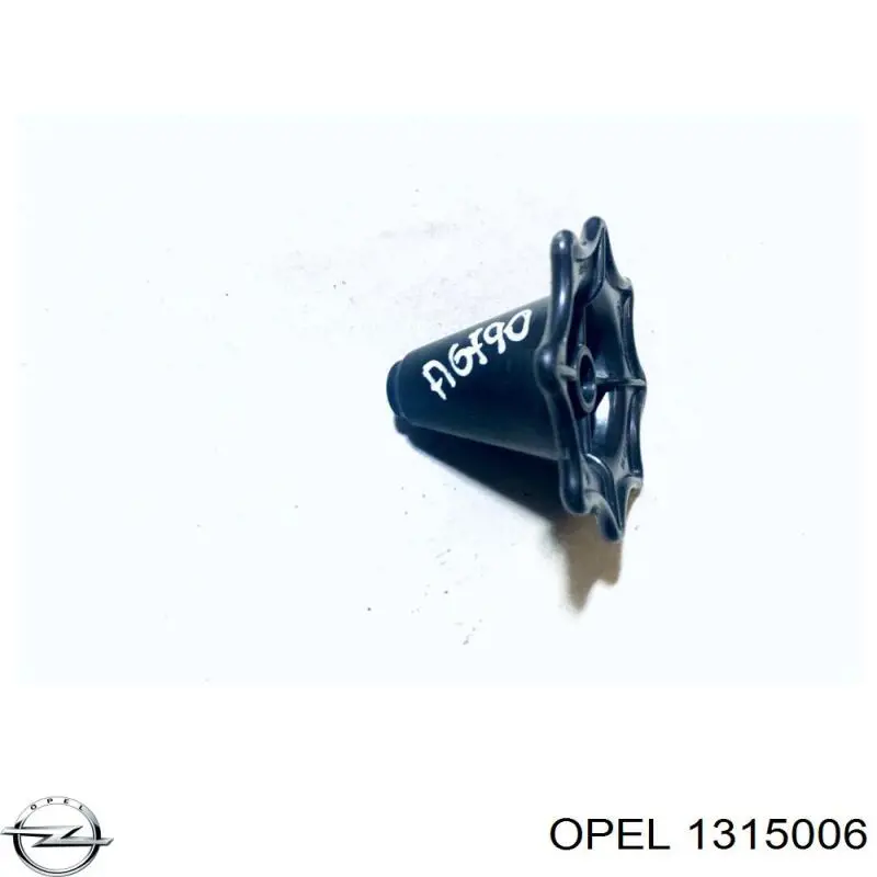 1315006 Opel 
