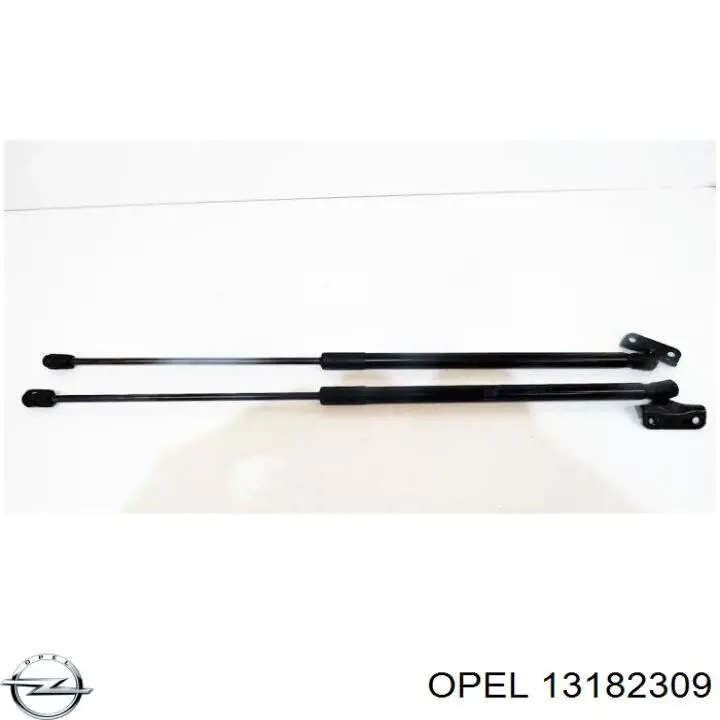 Амортизатор двері задньої Opel 13182309 ціна, від 8.16 USD