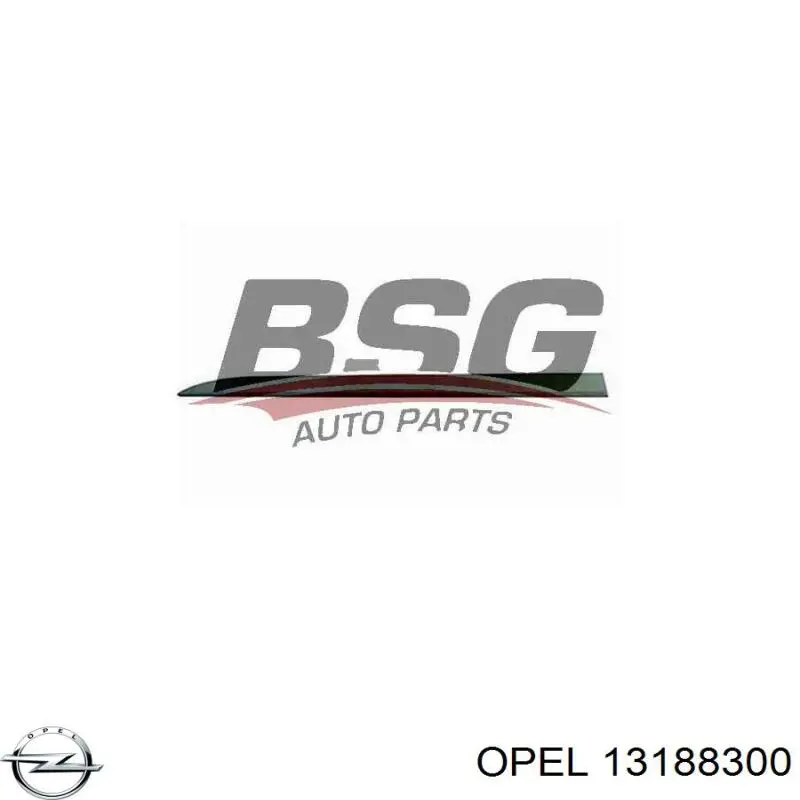 Купити 5172446 Opel Молдинг передньої лівої двері