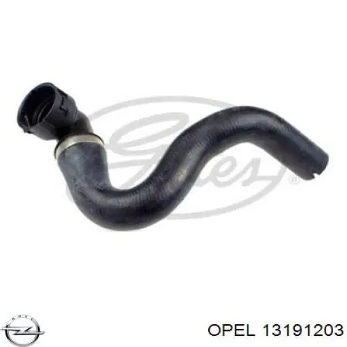 Шланг/патрубок радіатора охолодження, верхній Opel 13191203 ціна, від 44.07 USD