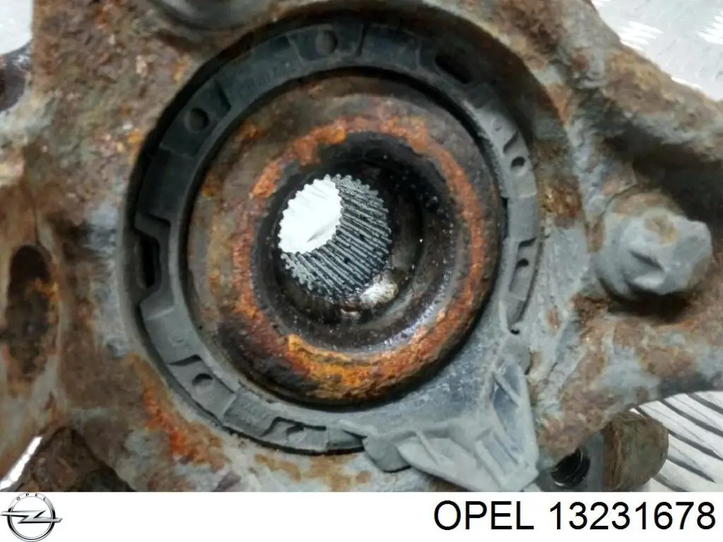 13231678 Opel Маточина (передня)