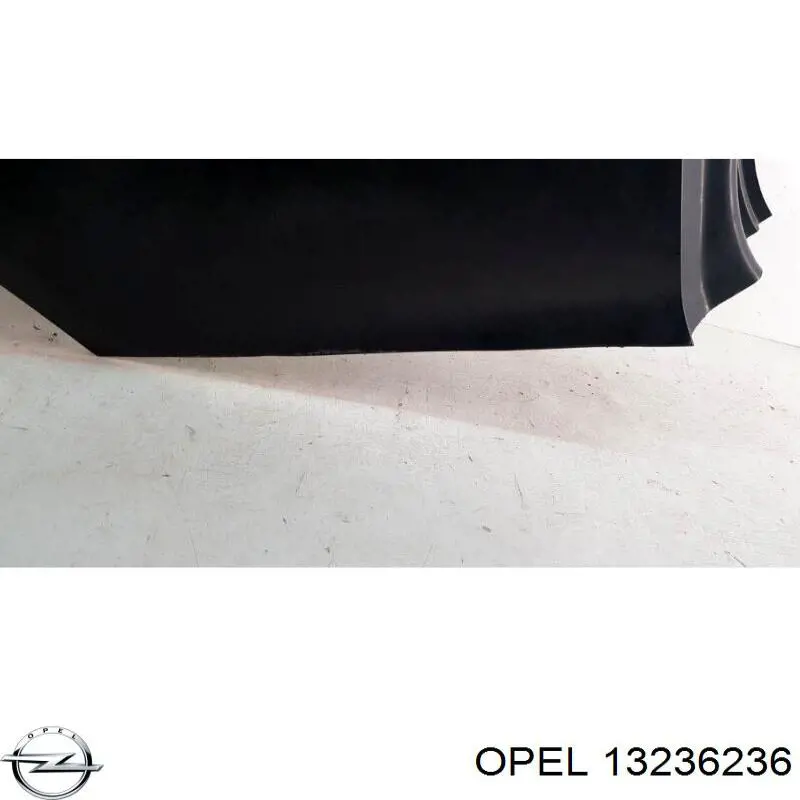 Бічна частина задні праві Opel 5183295 ціна, від 239.23 USD