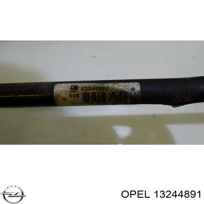 Купити 13244891 Opel 