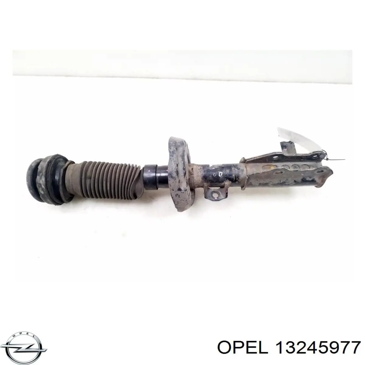 Амортизатор передній, правий Opel 13245977 ціна, від 48.65 USD
