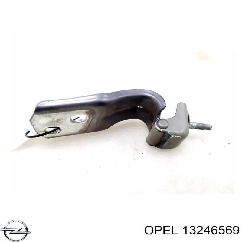 Купити 13246569 Opel Завіса задніх дверей, ляди