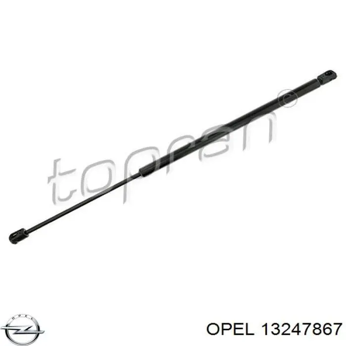 Купити 13247867 Opel Амортизатор двері багажника