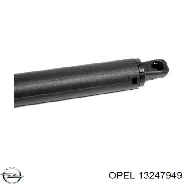 Амортизатор двері задньої Lesjofors 8163484 ціна, від 11.38 USD