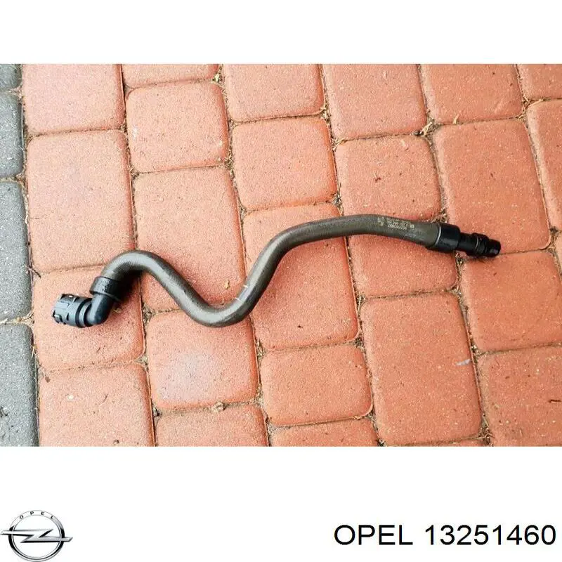  13251460 Opel
