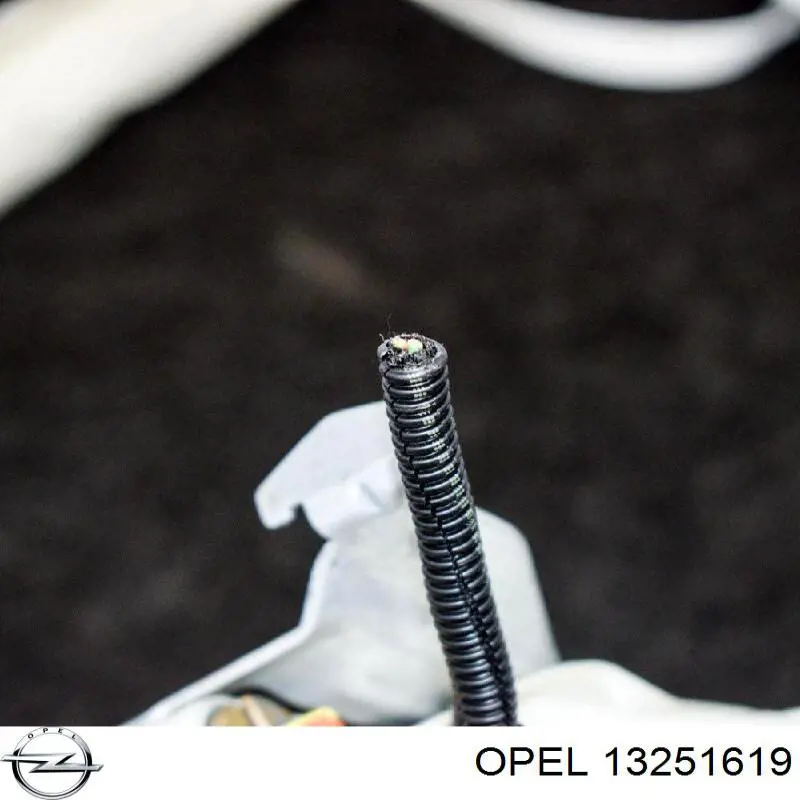  Opel 13251619