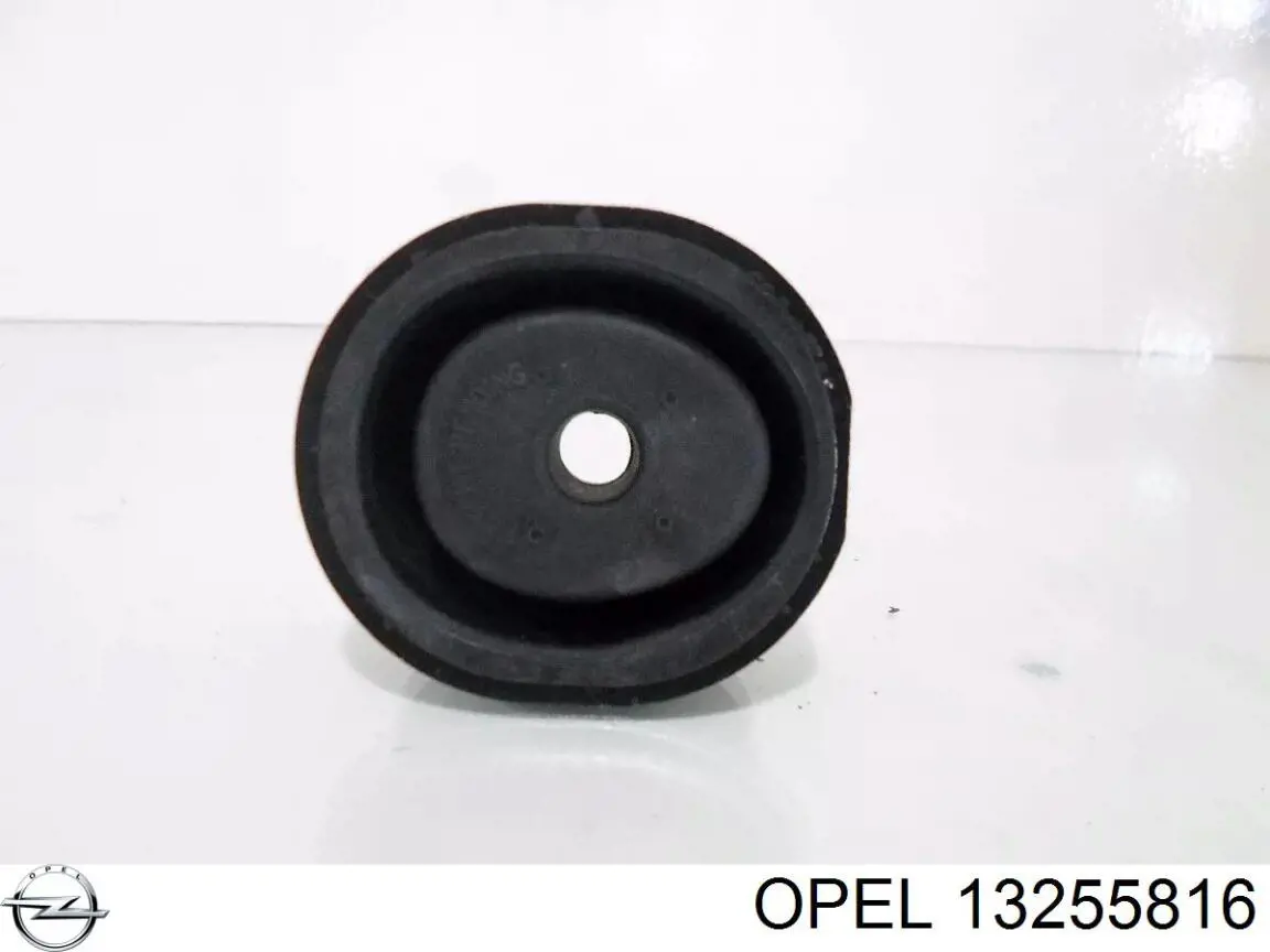 Купити 13255816 Opel 