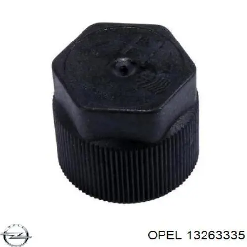 13263335 Opel 
