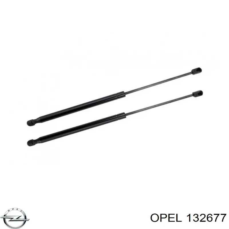 Амортизатор двері задньої Opel 132677 ціна, від 9.13 USD