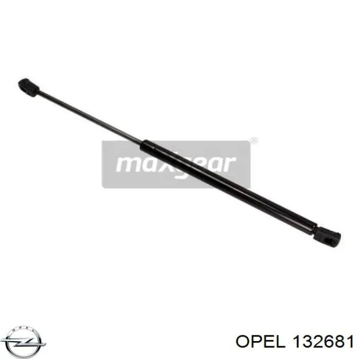 Амортизатор двері задньої Opel 132681 ціна, від 5.60 USD