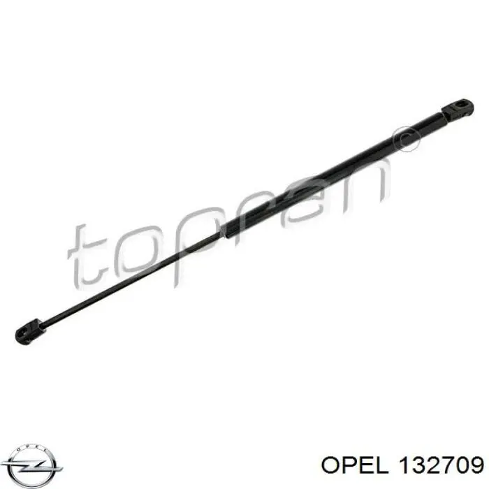 Амортизатор двері задньої Magneti Marelli GS0402 ціна, від 10.63 USD