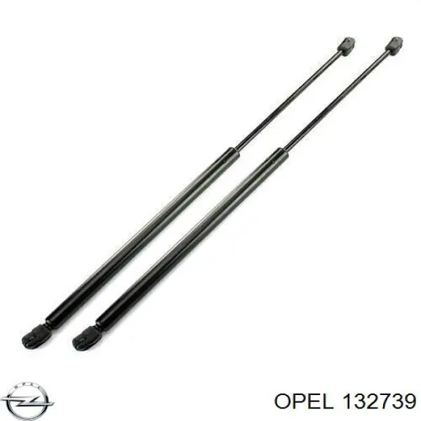 Купити 0132739 Opel Амортизатор двері багажника