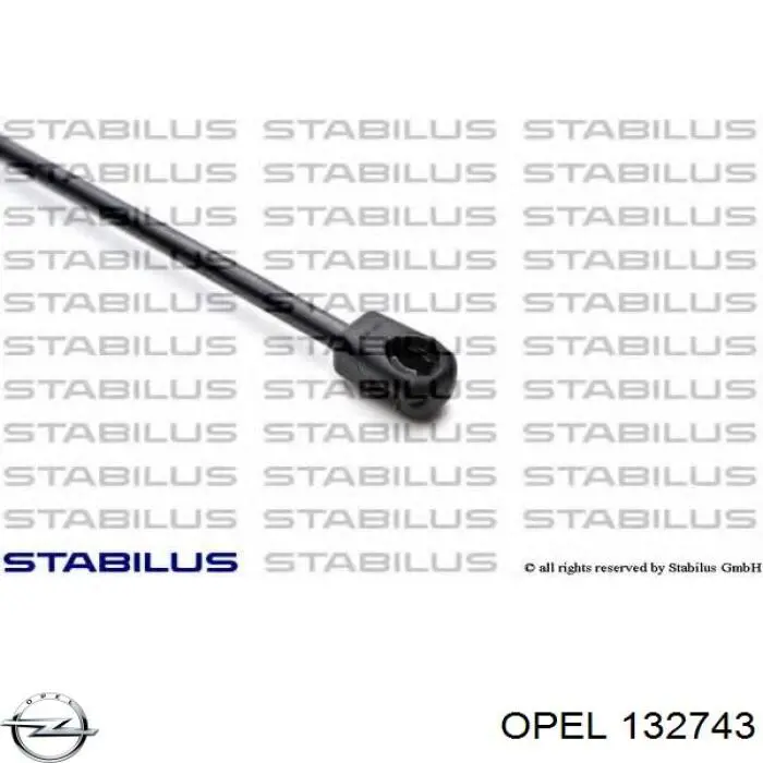 Амортизатор двері задньої Opel 132743 ціна, від 7.09 USD