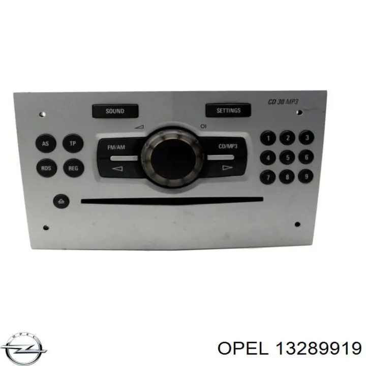 13289919 Opel 