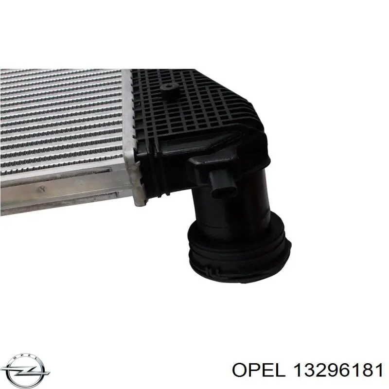 13296181 Opel Граната зовнішня
