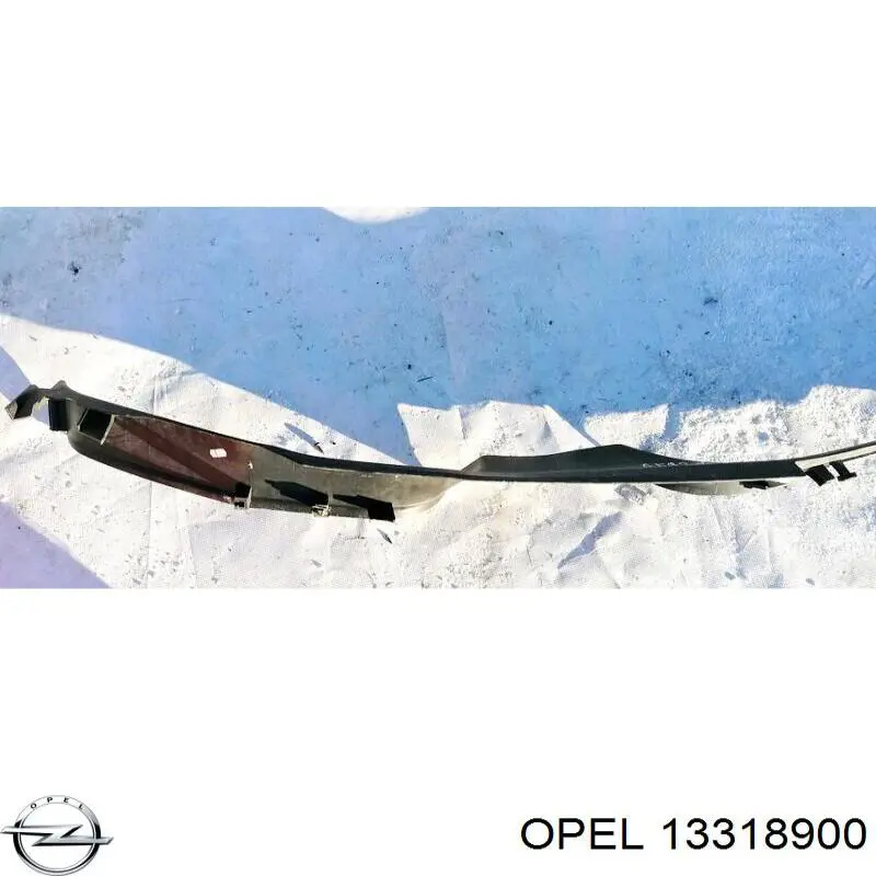 13318900 Opel 
