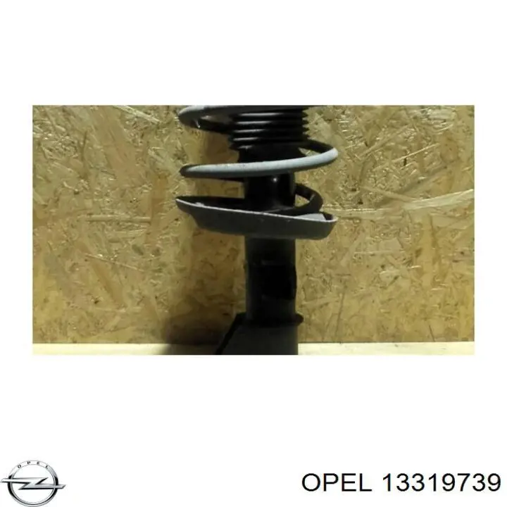  Opel 13319739