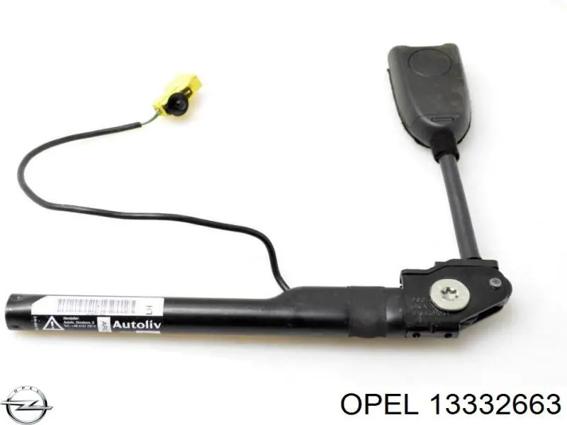 Купити 13332663 Opel 
