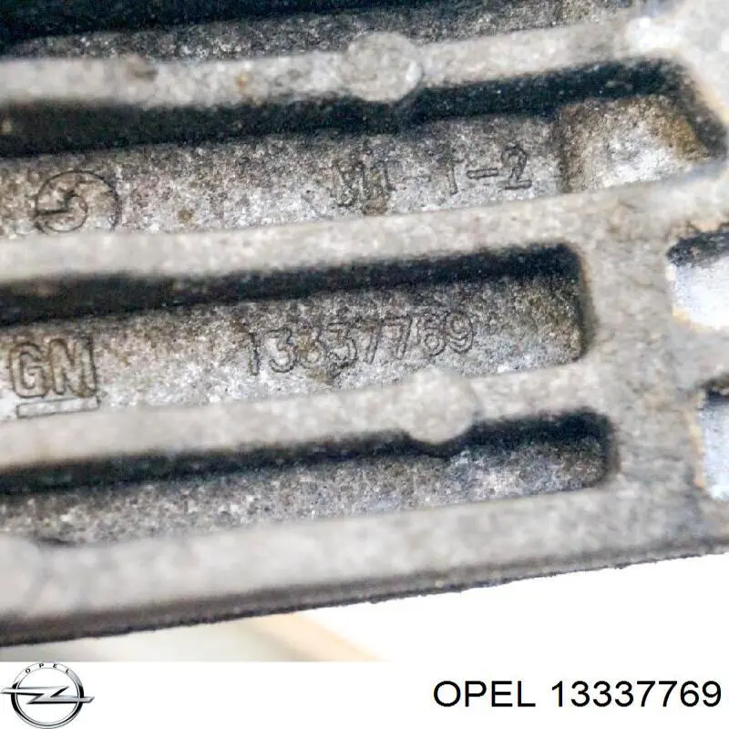  1310013 Opel