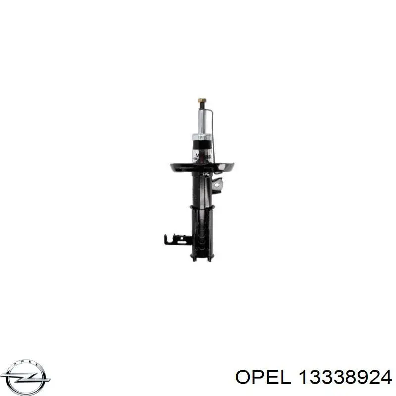 Купити 13338924 Opel 