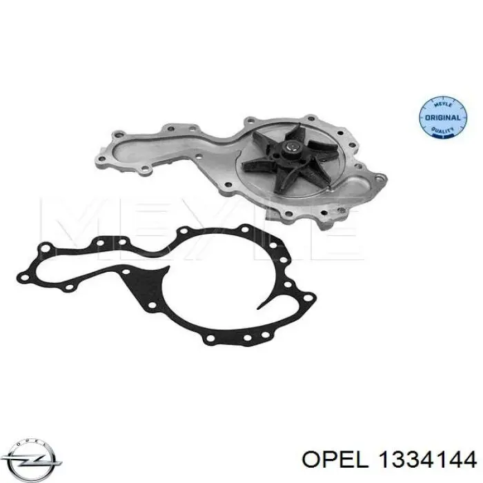 Помпа 8671019586 Renault (RVI)