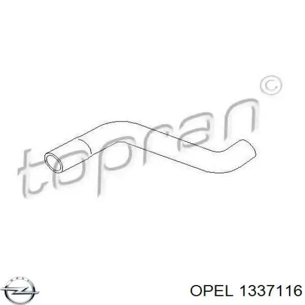Шланг/патрубок радіатора охолодження, нижній Opel Astra F (55) (Опель Астра)
