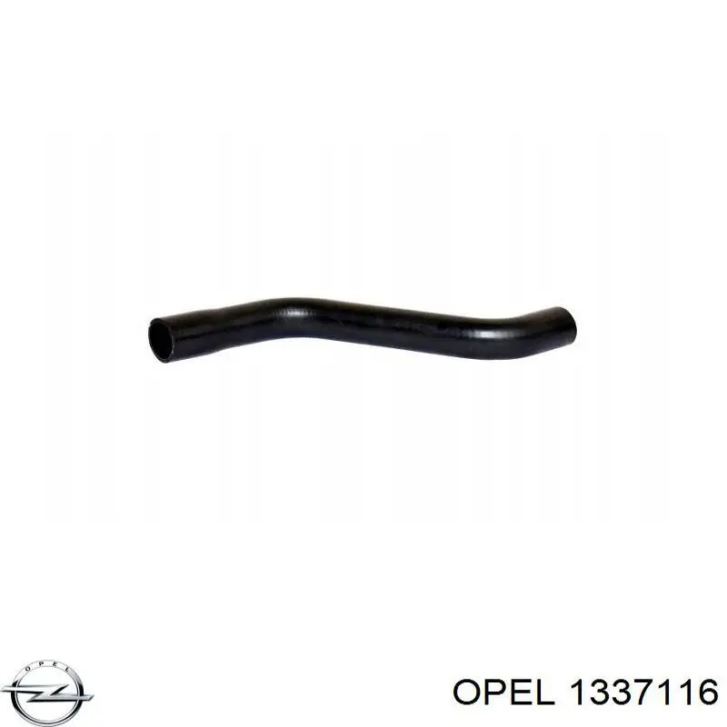 Купити 1337116 Opel Шланг/патрубок радіатора охолодження, нижній