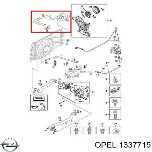 Шланг/патрубок радіатора охолодження, нижній Opel 1337715 ціна, від 25.34 USD