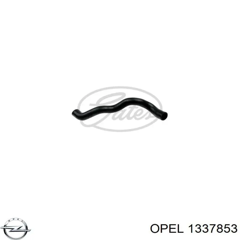 Купити 1337853 Opel Шланг/патрубок радіатора охолодження, верхній