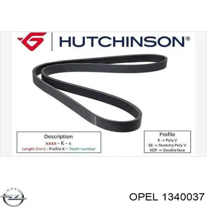 Клиновий ремінь Opel 1340037 ціна, від 14.10 USD