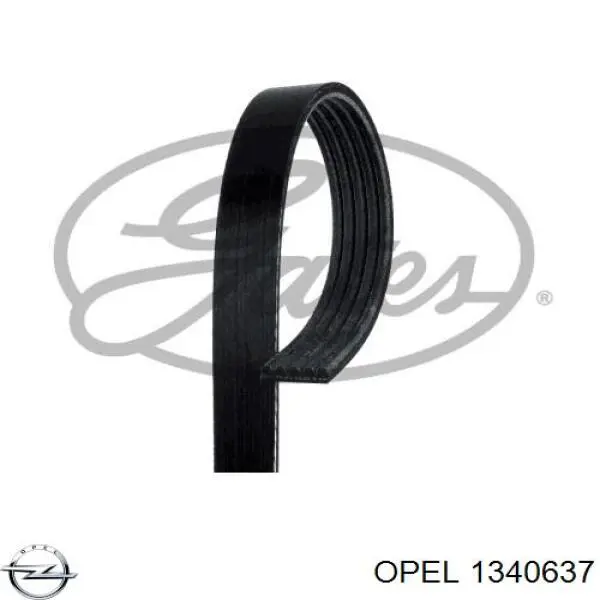 Клиновий ремінь Opel 1340637 ціна, від 6.77 USD