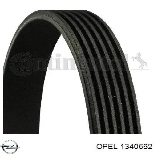 Клиновий ремінь Opel 1340662 ціна, від 15.75 USD