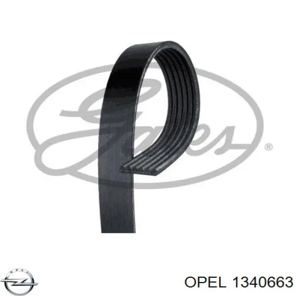 Клиновий ремінь Opel 1340663 ціна, від 16.98 USD
