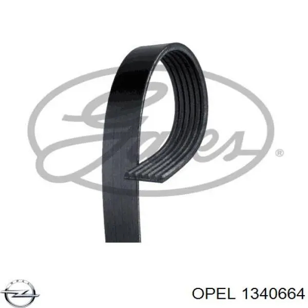 1340664 Opel ремінь приводний, агрегатів