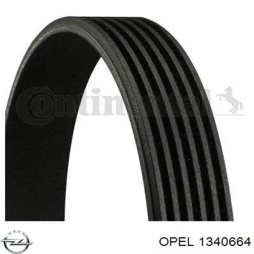 Клиновий ремінь Opel 1340664 ціна, від 13.48 USD
