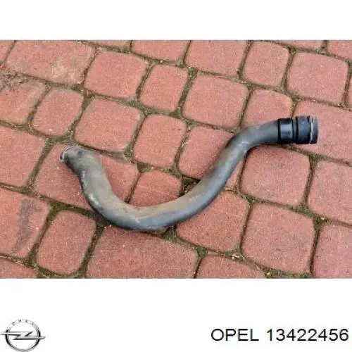 Шланг/патрубок радіатора охолодження, верхній Opel 13422456 ціна, від 15.19 USD